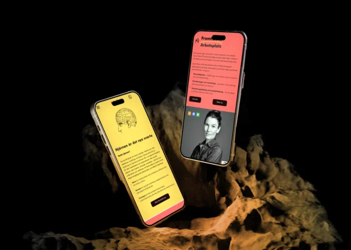 iPhone 1 (4)