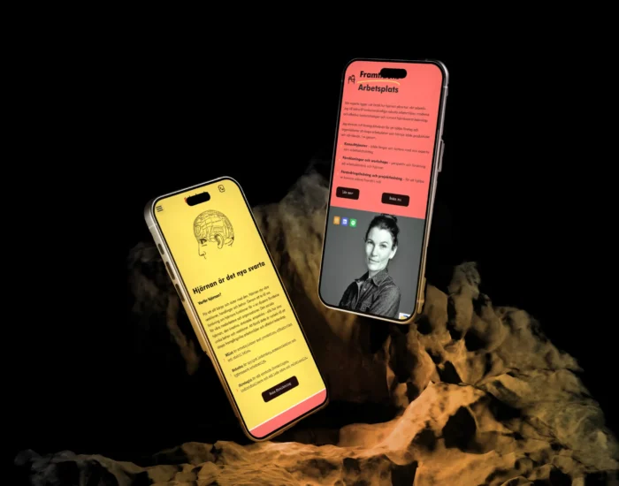 iPhone 1 (4)